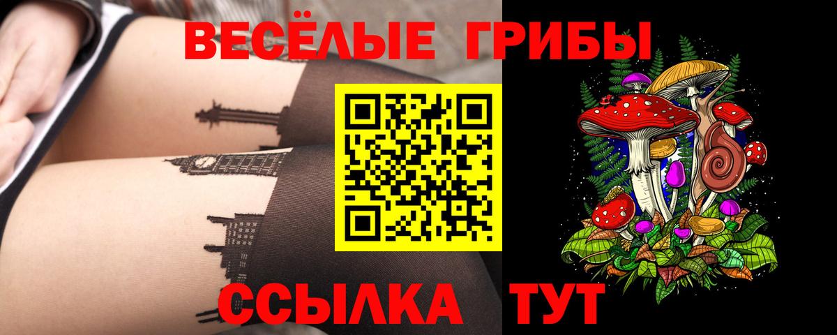 Псилоцибиновые грибы Cubensis  Вход с VPN  Вятские Поляны 